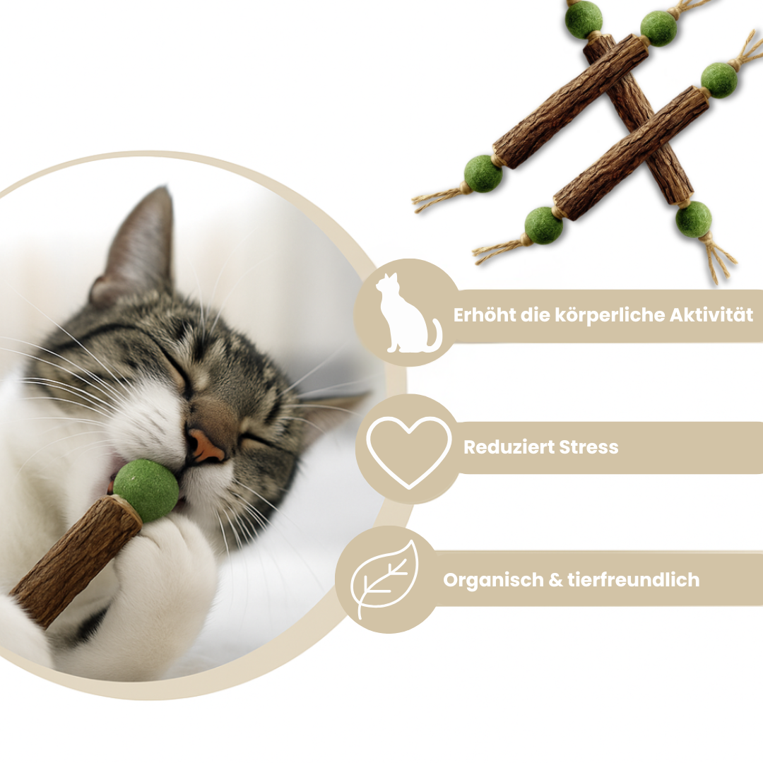 Happy Teeth | 1 + 2 Gratis