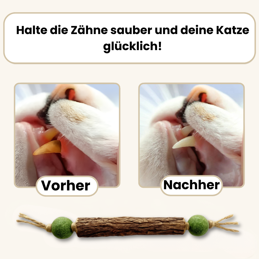 Happy Teeth | 1 + 2 Gratis