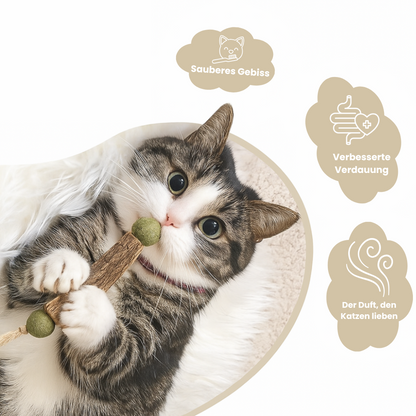 Happy Teeth | 1 + 2 Gratis