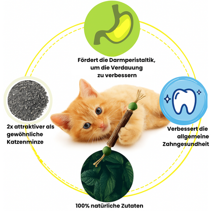 Happy Teeth | 1 + 2 Gratis